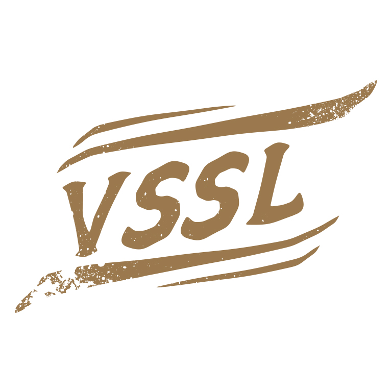 VSSL Agency